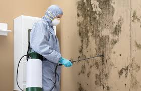 Best Forensic Mold Investigation  in Ack, NY